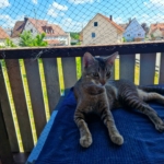 Gedenkbild