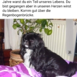 Gedenkbild