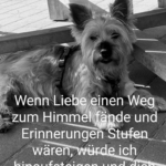 Gedenkbild