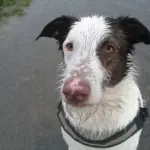Gedenkbild